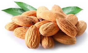 The next time your mom forces a few almonds into your hand as you leave the house in a rush, don't crib eat them! They are known to help your body prevent Cancer!